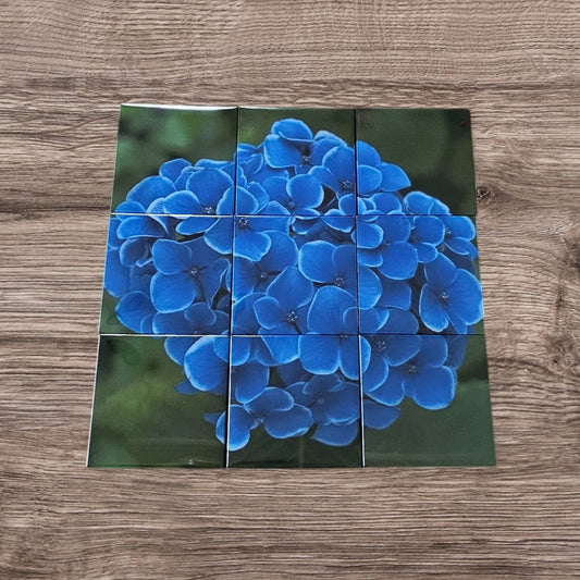 Hydrangea Puzzle